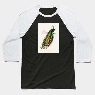 Indian peafowl (Pavo Cristatus) Baseball T-Shirt